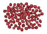 大地農園 天然素材 ボラフラワー(25g入り) ワイン DO22560-480