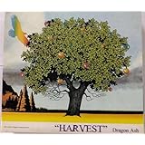 HARVEST