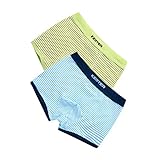 Prettyia 2枚　4-11歳　男の子　綿　下着　ボクサーブリーフ　パンツ　ショーツ　ストライプ柄　快適　全5サイズ2色 - 青+緑, 140cm