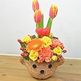 [エルフルール]生花 くまバスケット オレンジ系チューリップ アレンジメント フラワーギフト 花 ギフト プレゼント 誕生日祝い お祝い 贈り物