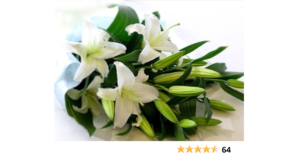 Amazon カサブランカ花束 ５ ７りんを５本 花束 オンライン通販