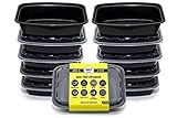 Bolt Goods XL Single 1 Compartment Plastic Meal Prep Containers (38 OZ) Durable Food Storage Bento B
