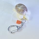 カメ キーホルダー 夜光貝 & 宝貝製 桃色珊瑚付き