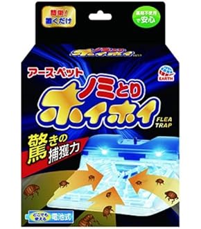 ネガイ　イノリ ホネガイ【8cm前後/1個】 En: Murex Pecten (size:approx.8cm