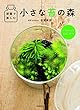 部屋で楽しむ 小さな苔の森