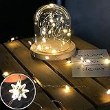 30 ledの銅の文字列の光、寝室のパティオパーティーのための文字列の光の電池駆動の装飾ライトを導いた - サボテン
