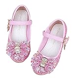 WIN　子供靴 ガールズシューズ 女の子 フォーマル シューズ ドレス用 プリンセス風 七五三 誕生日 結婚式 入園式 発表会 プレゼント 演奏会 花嫁介添人 飾り (内寸19.5cm, ピンク)