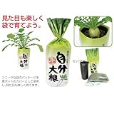 アーテック 自分大根 102954