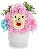 ソープフラワー　創意ジュエリーギフトボックス 誕生日　母の日　記念日　先生の日　バレンタインデー　昇進　転居など最適としてのプレゼント (ピンク-1)