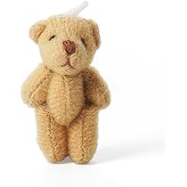 51idOwSieeL._AC_UL210_SR210,