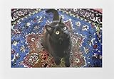 記念品ボックス、黒猫アート、大きな木製、6 1 / 4 " x 4 3 / 4 " x 1 3 / 4 , Gifts for Cat Lovers、手作りでDeborah Julian Large: