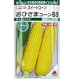 トウモロコシ 種子 スイートコーン おひさまコーン88 200粒 とうもろこし