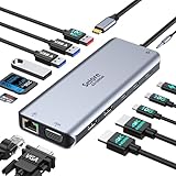 Selore USB C ドッキングステーション hdmi 2つ type-c usb ハブ【14-in-1 3画面モード 2 HDMI＋VGA 】トリプルディスプレイ対応 10Gbps データ転送 100W PD急速充電 デュアル 4K HDM/VGA/USB A/USB C ポート/RJ-45 /SD&TFカードスロット搭載 macOS/iPadOS/Windowsデバイス等対応
