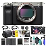 ソニー α a7C ミラーレス一眼カメラ 本体のみ シルバー ILCE7C/S 64GB メモリーカード NP-FZ-100 バッテリー Corel Photo Software ケース 外部充電器 カードリーダー HDMI ケーブルなど