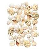 大地農園 ドライフラワー  ミックスナッツ (120g入り) 白 DO024840-010