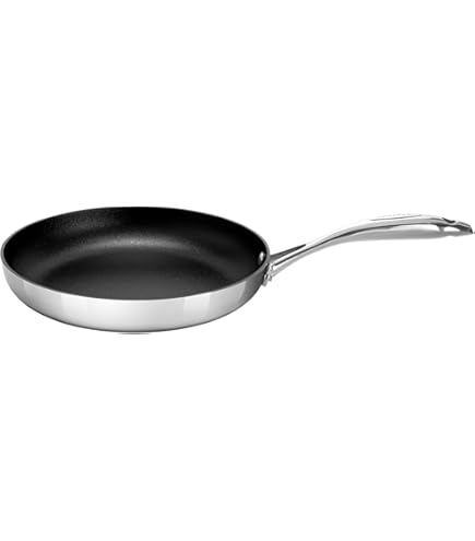 Amazon.co.jp: スキャンパン フライパン 20cm CTX 65002000 : ホーム