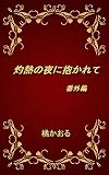 灼熱の夜に抱かれて　番外編 灼熱シリーズ (ボーイズラブ)