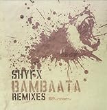 Bambaata [12 inch Analog]