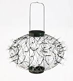Evergreen Green with Multi-Color Light Medium Hanging Solar Lantern [並行輸入品]