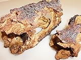 アクアリウム テラリウム シェルター インテリア オブジェ 樹木タイプ 大小 2個セット 魚 や 爬虫類 の 隠れ家 に最適