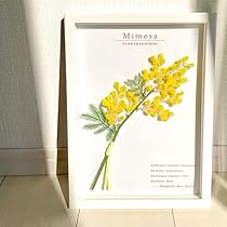 51iiE62bhwL._AC_UL210_SR210,