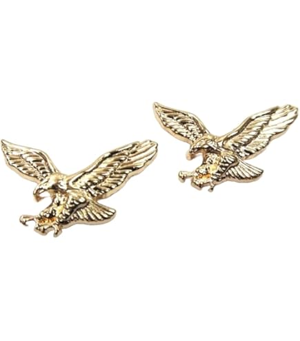 Amazon.co.jp: トップガン バッジ 海軍パイロット マーヴェリック 戦闘