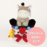ギフトセット おもちゃケーキ 出産祝いに ロバのベビーぬいぐるみとバギートイのケーキ (ピンク)