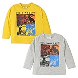 (グレー/80cm)男の子 Tシャツ 長袖 恐竜プリント 男児 ベビー