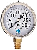 Zenport LPG30 Zen-Tek Glycerin Liquid Filled Pressure Gauge, 30 PSI [並行輸入品]