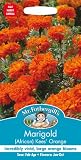 MFFL 英国ミスターフォザーギルズシード Marigold (African) Kees Orange マリーゴールド（アフリカン）・キーズ・オレンジ