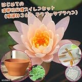 charm(チャーム) (ビオトープ/睡蓮) はじめての温帯性品種スイレンセット(睡蓮鉢(スイレン鉢)360 テラコッタブラウン) 説明書付 【生体】