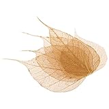 Homyl 5枚　造花　乾燥植物　リンデン葉　乾燥花　標本花　カード作り　ジュエリー素材　DIY　携帯ケース　手作り　2タイプ選べ - ゴールド(5枚葉), 3.5 - 5 cm
