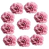 Fityle DIY手工芸品　人工シルク　ローズ　ヘッド　花飾り　結婚式フラワー　パーティーアクセサリー　5cm10個入り　全11種選べ - ピンク, 5cm