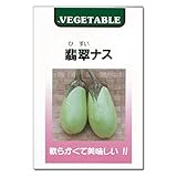 [野菜タネ]翡翠（ひすい）ナスの種 2袋セット[おいしい緑色の茄子　春まき]