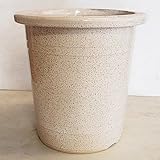 信楽焼植木鉢 ウズラケンガイ 6号 ／アウトレット数量限定品