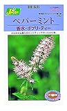 カネコ種苗 ハーブタネ282 ハーブ ペパーミント 10袋セット