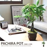 グリーン／観葉植物 光触媒 造花 パキラポット グリーン 人工植物 消臭 抗菌 防菌 ホルムアルデヒド 植物 人工 タバコ ペット アートフラワー オフィス プレゼント ギフト