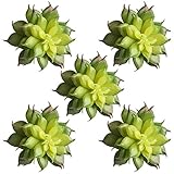50247_1 5パックフェイク多肉植物 Unpotted ビニール人工多肉 人工植物 偽の多肉植物フラワーアレンジメントクラフトメイキング