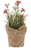 Boston International Flower Stand Flowers, Medium, Red [並行輸入品]