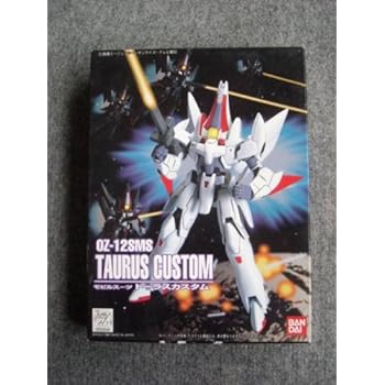 トーラスカスタム