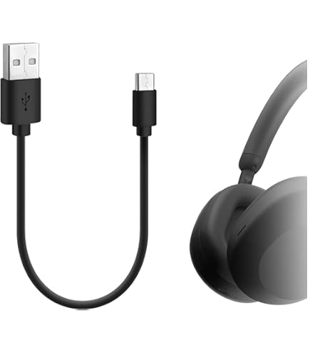 Amazon.co.jp: Type-C 5V アダプター 充電器 充電ケーブル Sony WH
