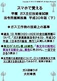 スマホで覚える　甲種ガス主任技術者試験　法令　問題解説集　平成30年版　下