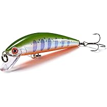 Amazon | パームス(Palms) エゲリアネイティブパフォーマンス