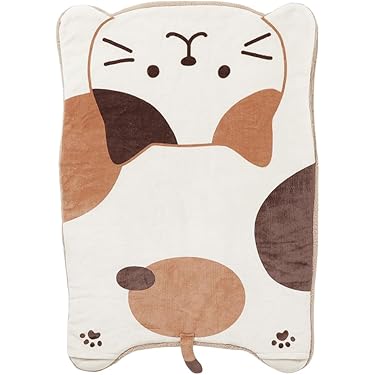 Amazon.co.jp 最新リリース: ブランケット・毛布 の新着ランキングです。