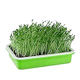 OUNONA 種子トレイ 植物トレイ 栽培トレイ 蓋 野菜 スプラウト もやし 種子発芽ポット 植木鉢 植栽ポット 排水孔 33x25x5cm