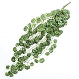不二貿易 観葉 植物 インテリア フェイク グリーン ラウンド リーフ つる 壁 装飾 全長約91cm 22112