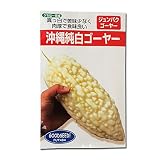 [3～7月まき 野菜タネ]ゴーヤ（にがうり）の種：沖縄純白ゴーヤー 2個セット