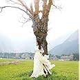 ありがとう、だいすき(DVD付)