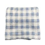 Super Soft Polyester Baby Blanket Blue Gingham Print 29.5in x 29.5in [並行輸入品]