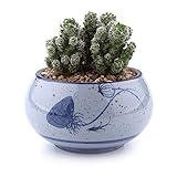 T4U 10CM 陶器鉢 ロータスパターン 多肉植物、サボテン鉢 フラワーポット プランター容器 ホワイト
